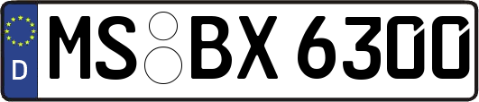MS-BX6300