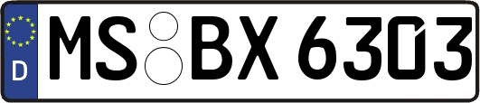 MS-BX6303