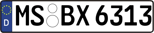 MS-BX6313