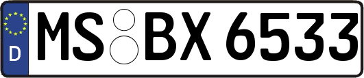 MS-BX6533