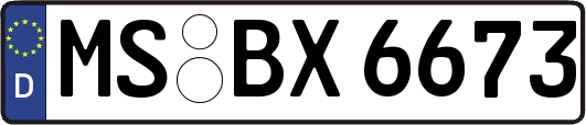 MS-BX6673
