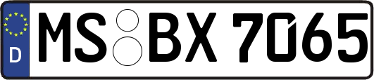 MS-BX7065