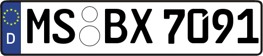 MS-BX7091