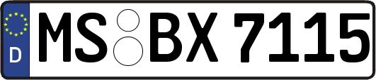 MS-BX7115