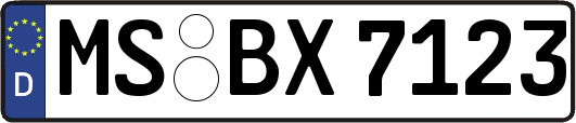 MS-BX7123