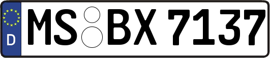 MS-BX7137