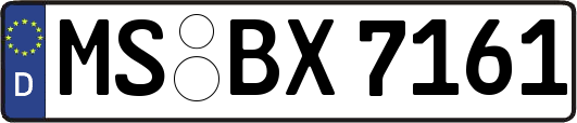 MS-BX7161