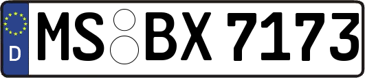 MS-BX7173
