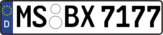 MS-BX7177