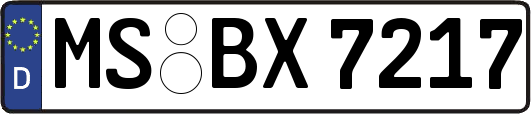 MS-BX7217