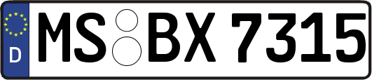 MS-BX7315