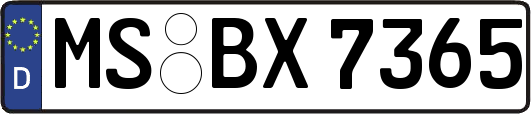 MS-BX7365