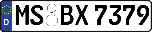 MS-BX7379
