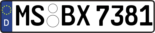 MS-BX7381