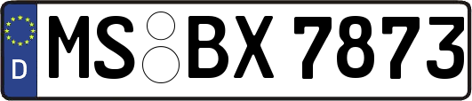 MS-BX7873