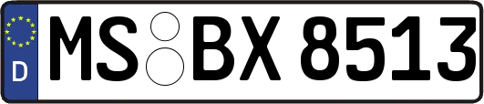 MS-BX8513