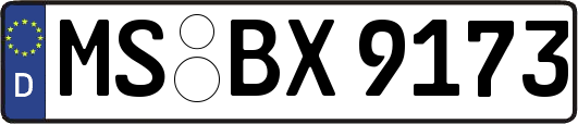 MS-BX9173