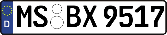 MS-BX9517