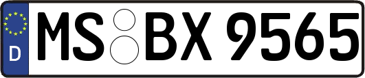 MS-BX9565