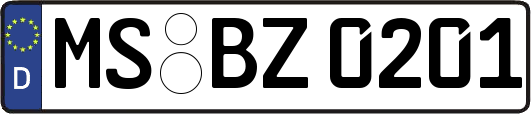 MS-BZ0201