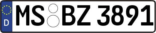 MS-BZ3891