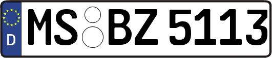 MS-BZ5113