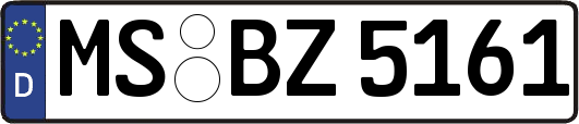 MS-BZ5161
