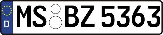 MS-BZ5363