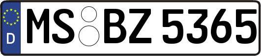 MS-BZ5365