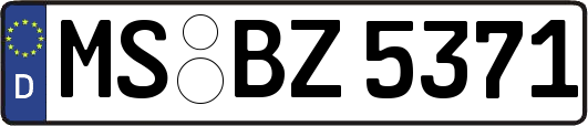 MS-BZ5371