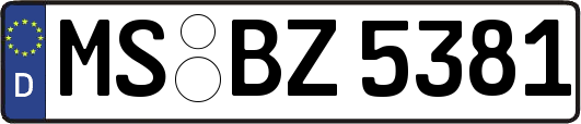 MS-BZ5381