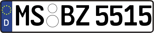 MS-BZ5515