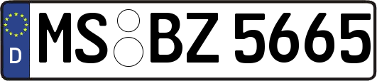 MS-BZ5665