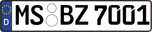 MS-BZ7001
