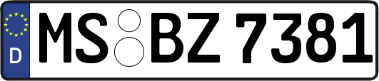 MS-BZ7381