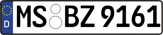 MS-BZ9161