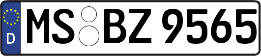 MS-BZ9565