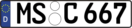 MS-C667