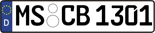 MS-CB1301