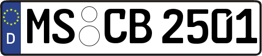 MS-CB2501