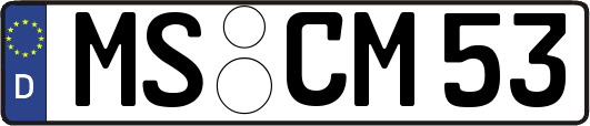 MS-CM53
