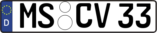 MS-CV33