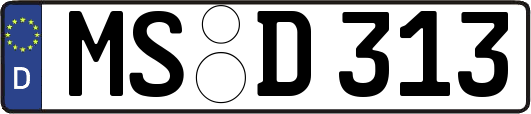 MS-D313