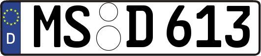 MS-D613