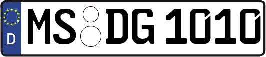 MS-DG1010