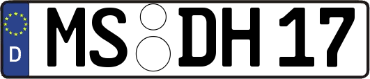 MS-DH17