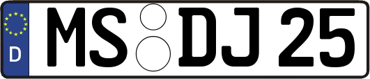 MS-DJ25