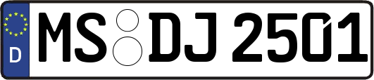 MS-DJ2501