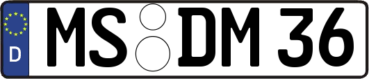 MS-DM36