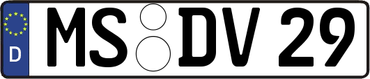 MS-DV29